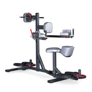 Panatta Fit Evo Standing & Seated Double Twister