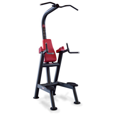Panatta SEC Chin And Dip (Chin Optional) 1SC211
